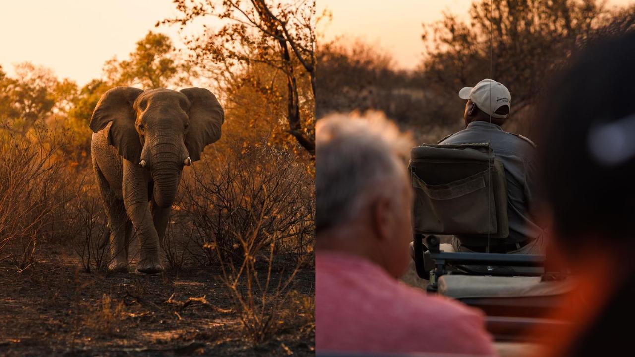 Geiger'S Camp In Timbavati Game Reserve By Newmark Eksteriør bilde