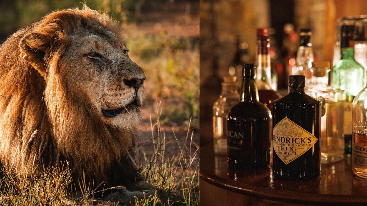 Geiger'S Camp In Timbavati Game Reserve By Newmark Eksteriør bilde