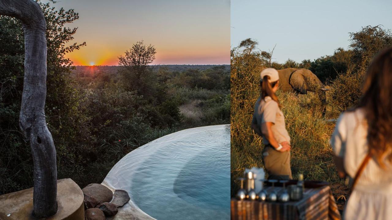 Geiger'S Camp In Timbavati Game Reserve By Newmark Eksteriør bilde