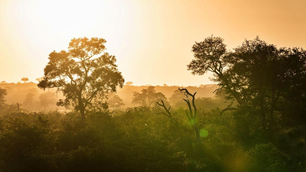 Geiger'S Camp In Timbavati Game Reserve By Newmark Eksteriør bilde
