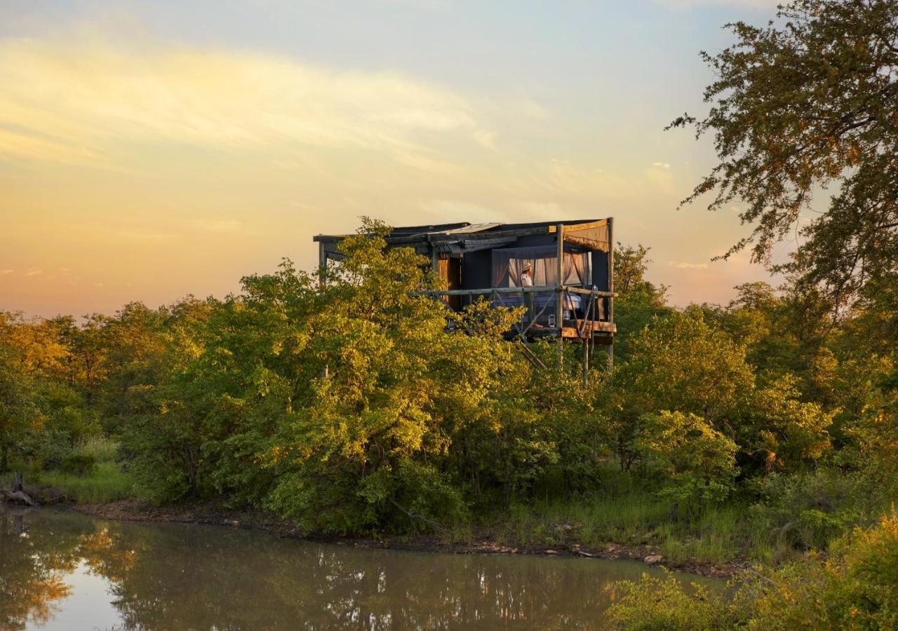 Geiger'S Camp In Timbavati Game Reserve By Newmark Eksteriør bilde